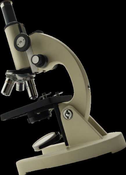 Какой купить стереомикроскоп лучше всего в 2021 году
