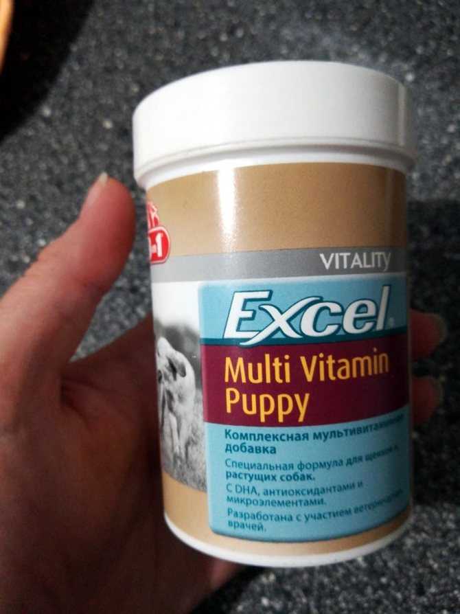 Витамины для собак excel