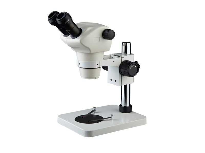 Топ-7 лучших микроскопов для школьников: какой купить, плюсы и минусы, отзывы, цена