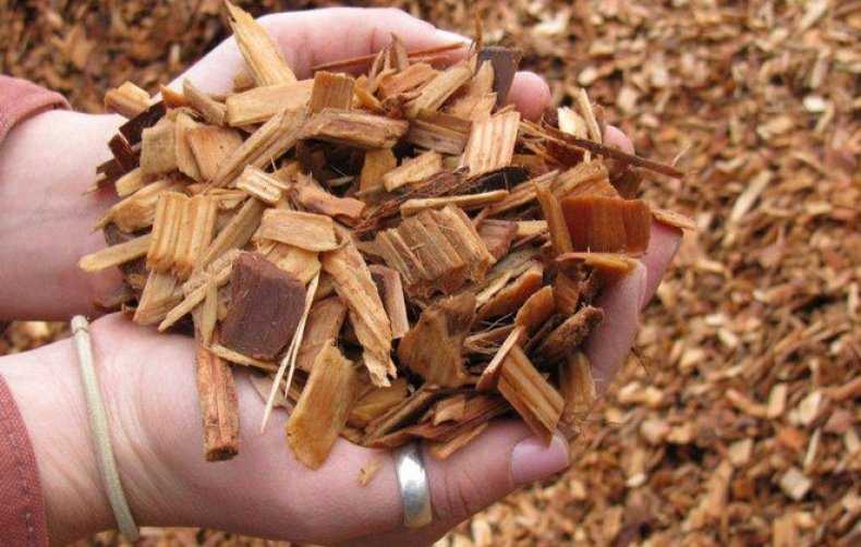 Как подбирать древесину для коптильни: вид, происхождение, габариты щепы, влажность, что применять нельзя, советы специалистов