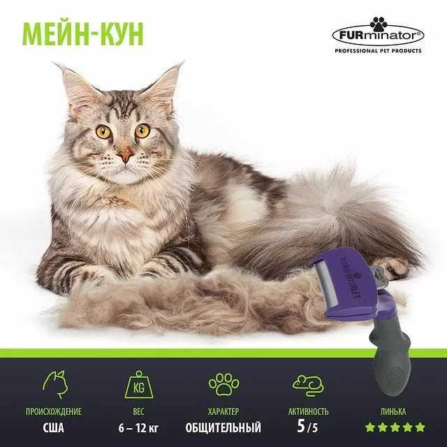 Обзор и технические характеристики Furminator Long Hair Large Cat. Отзывы и рейтинг реальных пользователей о Furminator Long Hair Large Cat. Достоинства, недостатки, комментарии.