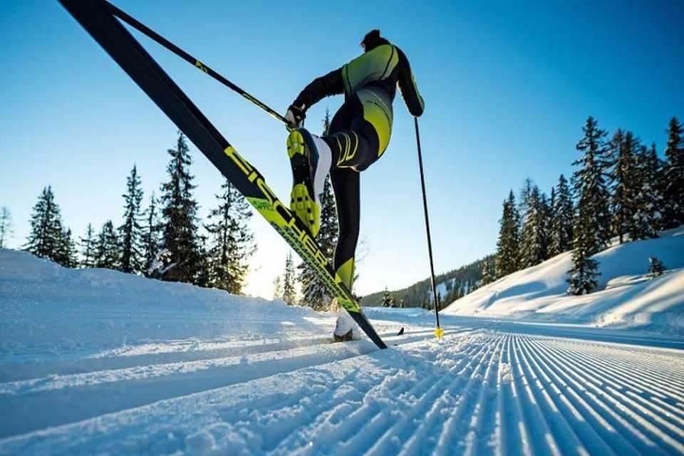 Беговые лыжи fischer 2020-2021: характеристики, модели, особенности