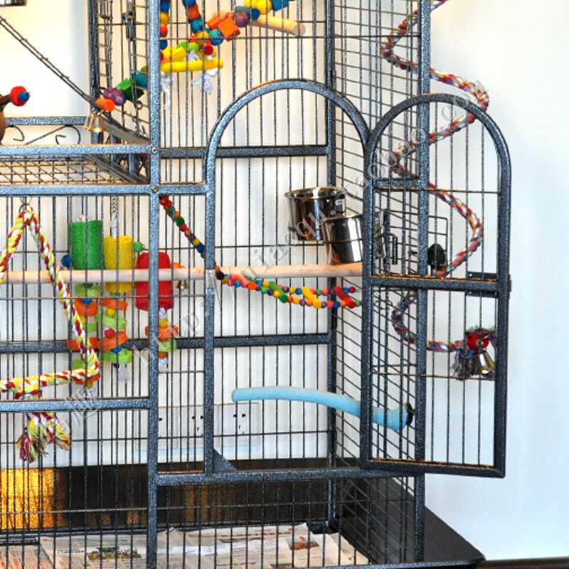 Комфортный домик пернатому питомцу! рейтинг лучших клеток для попугаев на 2021 год