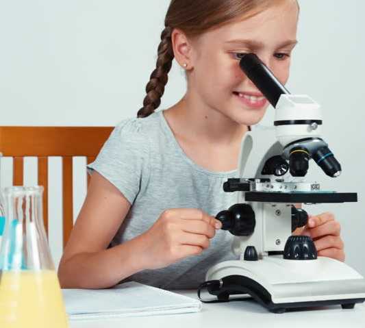 Выбираем лучший микроскоп для школьника: рейтинг топ 7, виды, отзывы, цена