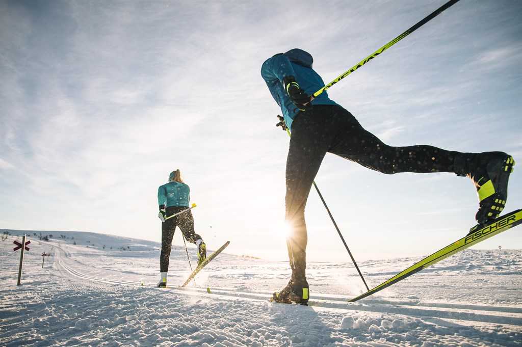 Топ—6. лучшие горные лыжи (универсальные). рейтинг 2021 года!