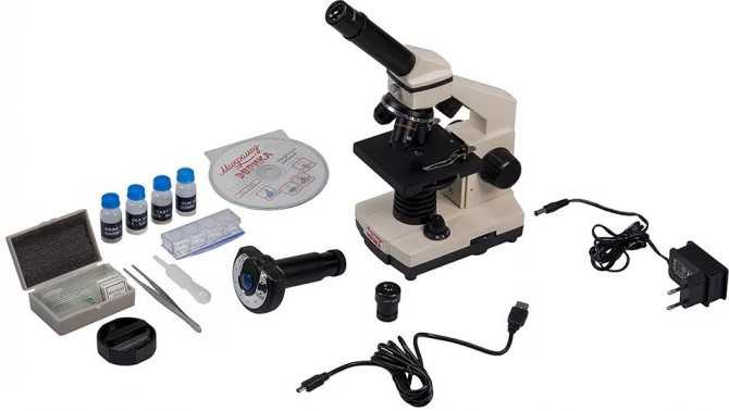 Какой выбрать микроскоп для школьника: рейтинг из топ-20 лучших микроскопов, отзывы покупателей