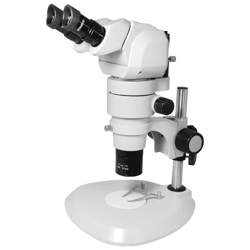 Топ-5 цифровых микроскопов levenhuk dtx для домашних исследований
